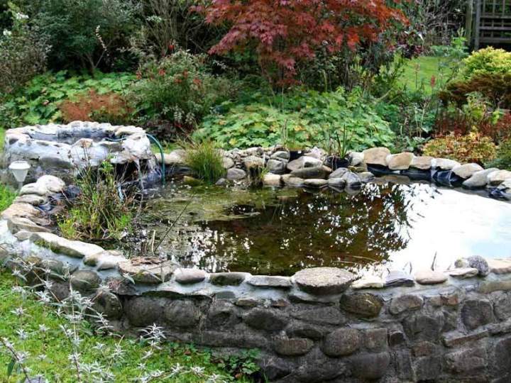 Conception de points d'eau et de bassins extérieurs