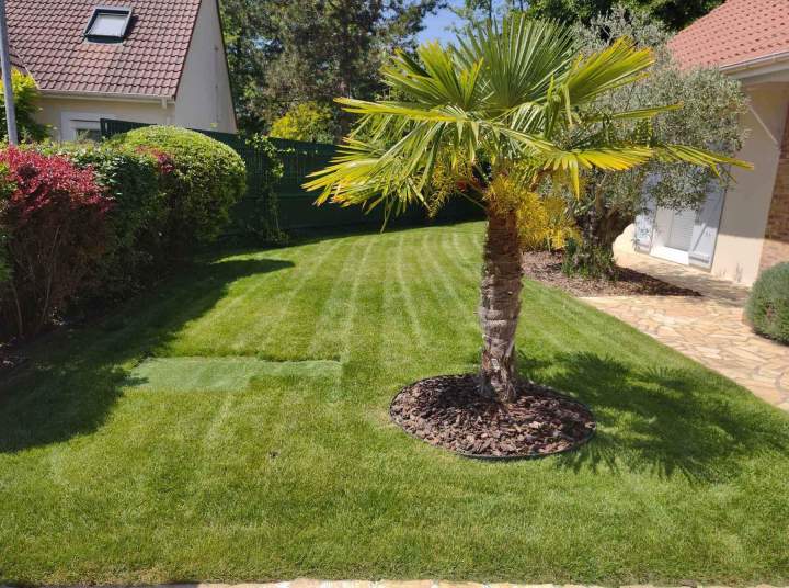 Travaux paysagers Conflans-Sainte-Honorine